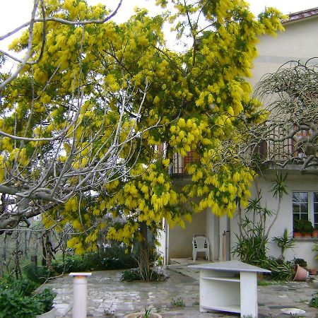B&B La Mimosa Spello Exterior foto