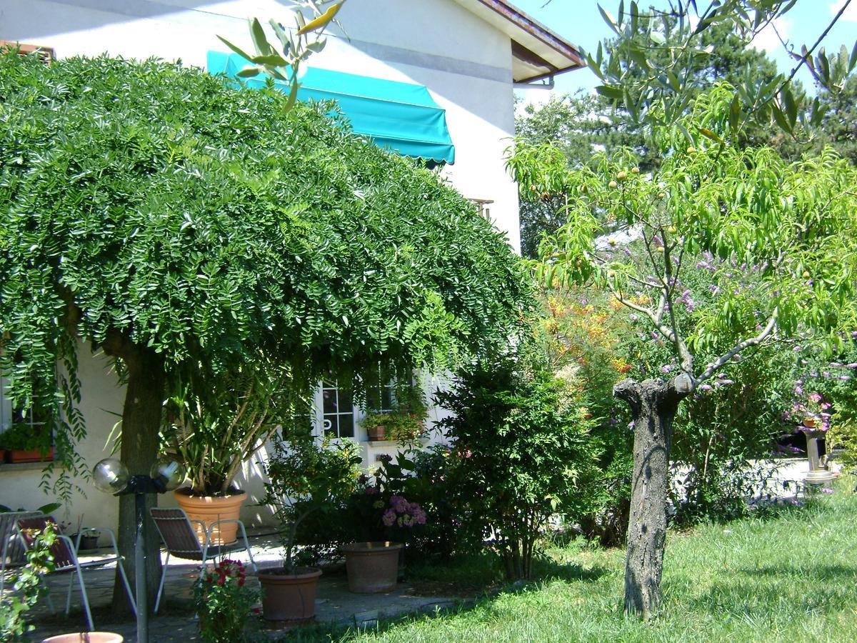 B&B La Mimosa Spello Exterior foto
